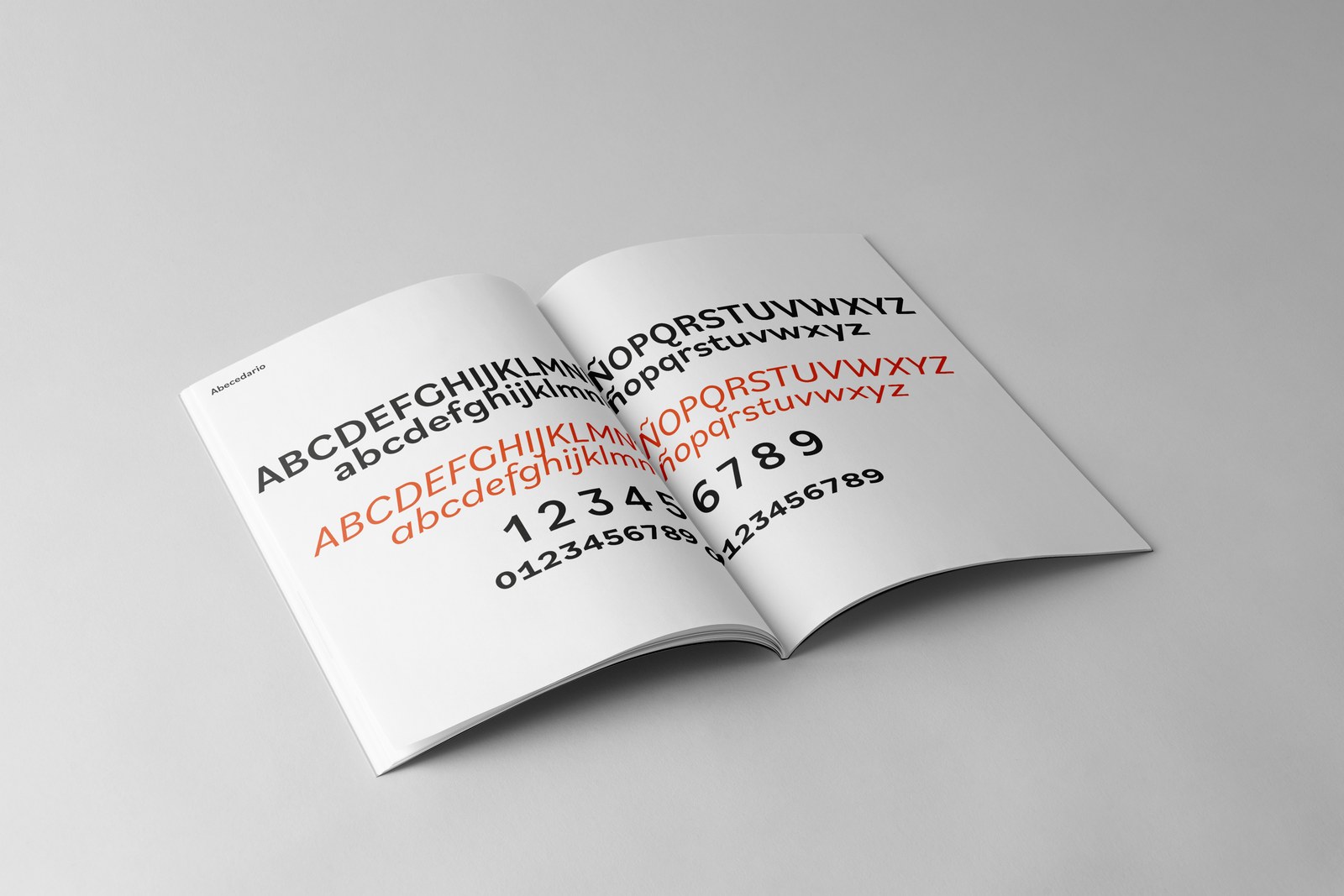 Bilo — Type Specimen — 4